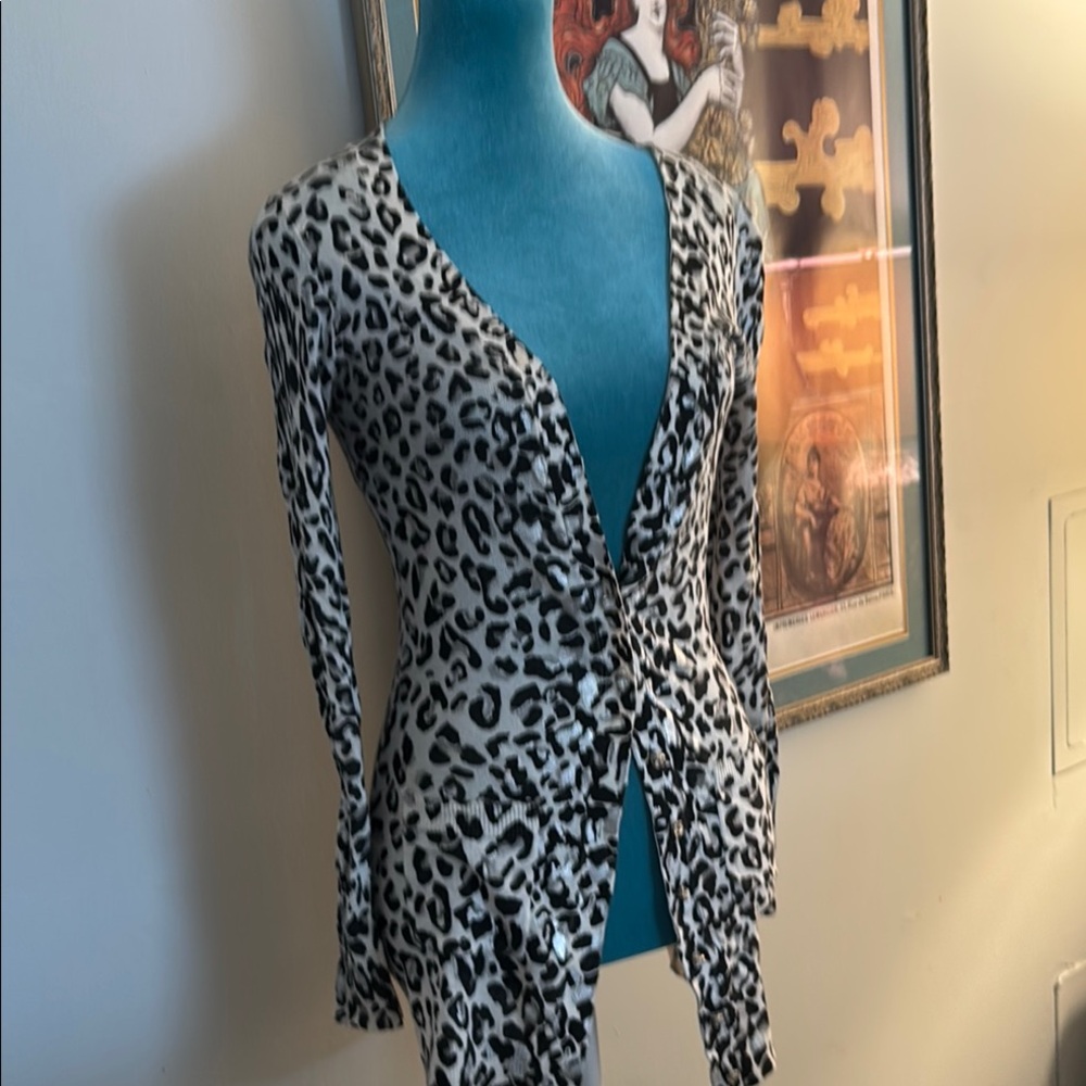 Leopard Print Womens Tunic sweater